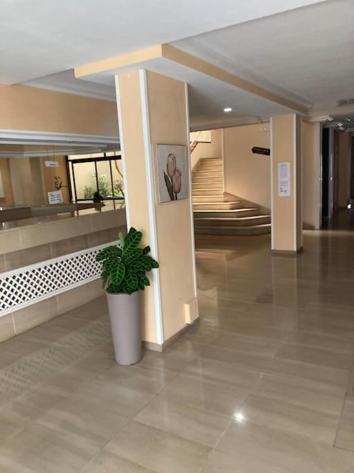 Apartament Sunset Aliss Puerto de Santiago  Extérieur photo